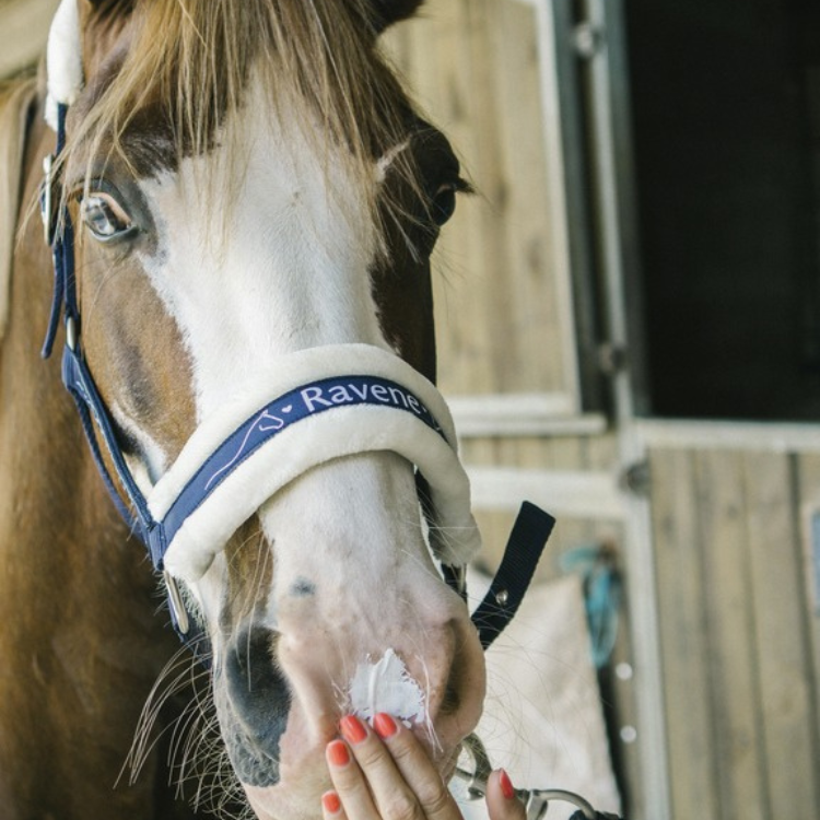 Crème Solaire Ravene Sun Protec 150ml