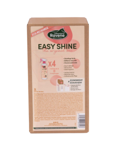 Recharge Démêlant Ravene Easy Shine 3L 2