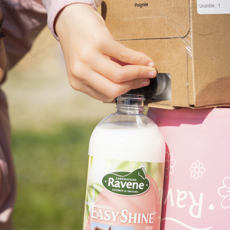 Recharge Démêlant Ravene Easy Shine Utilisation