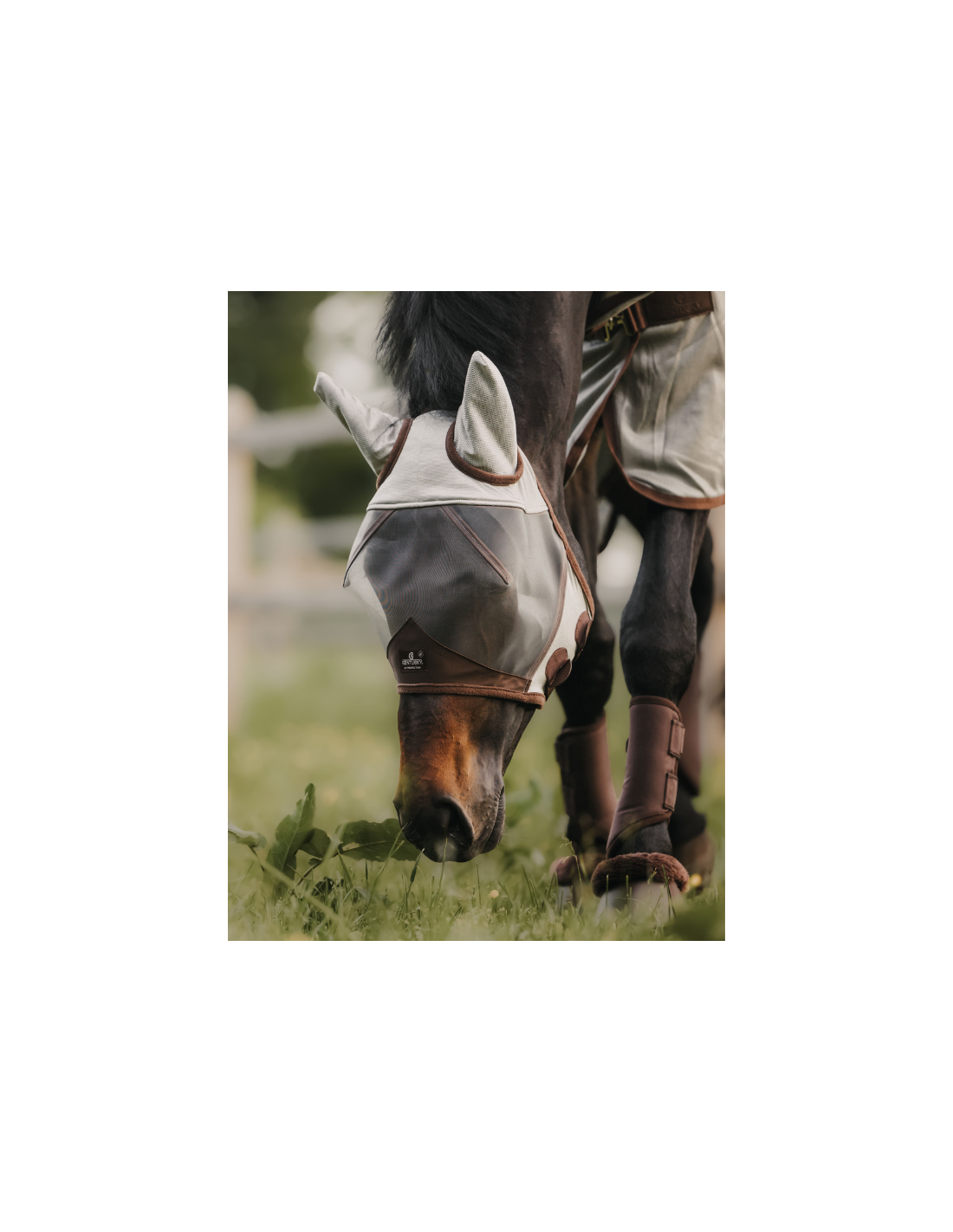 Masque Anti-mouches Pour Cheval Shires - Maille Fine, Avec Oreilles - Couleur Mauve - Neuf