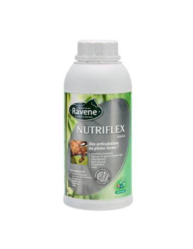 Nutriflex Ravene 500ml