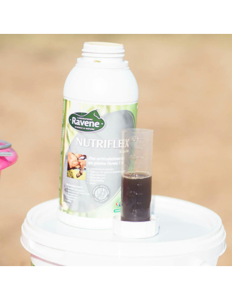 Nutriflex Ravene 500ml