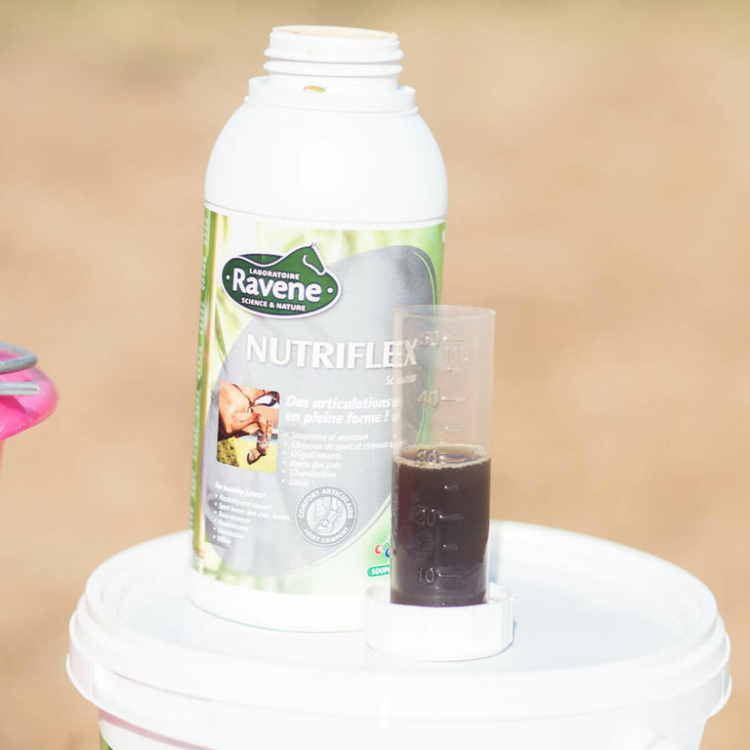 Nutriflex Ravene 500ml