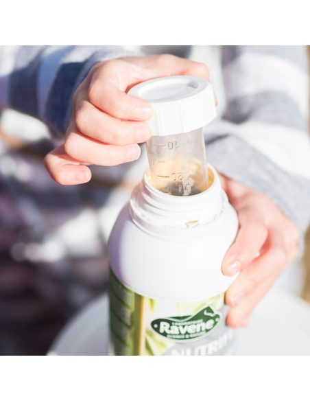 Nutriflex Ravene 500ml