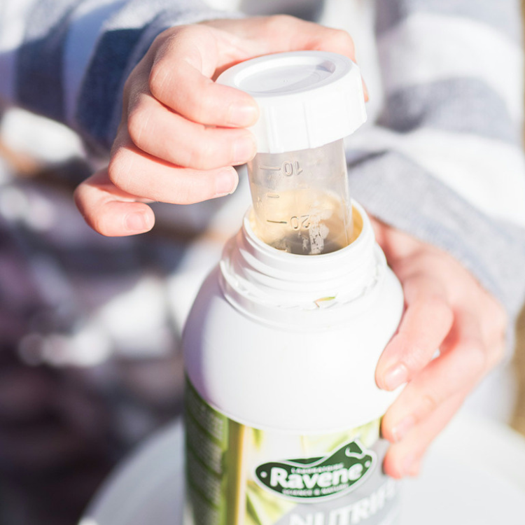 Nutriflex Ravene 500ml