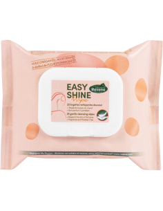 Lingettes Nettoyantes Ravene Easy Shine Wipe