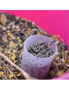 Ravene Nutrilife+ 2.7kg 2