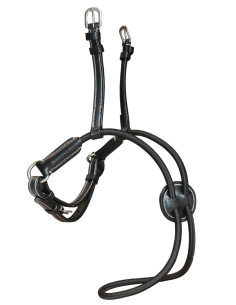 Muserolle élastique Flags&Cup