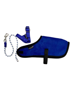 Crafty Ponies Foal Rug Set 2
