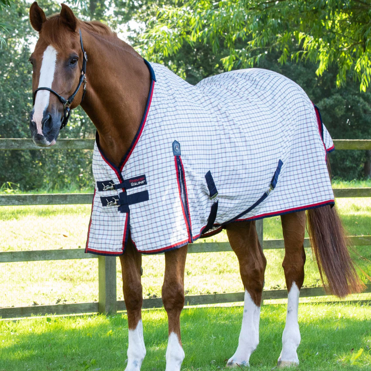 Couverture D'écurie Premier Equine Hydra 200g Couvre Cou