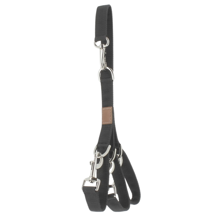 Porte Bridon Paddock Amovible Noir