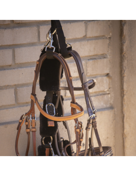 Porte Bridon Paddock Amovible Noir