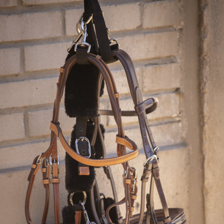 Porte Bridon Paddock Amovible Noir