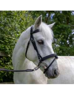 Canter Mylord Bridle