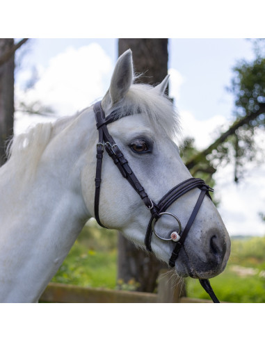 Bridon Canter Mylord marron/vert