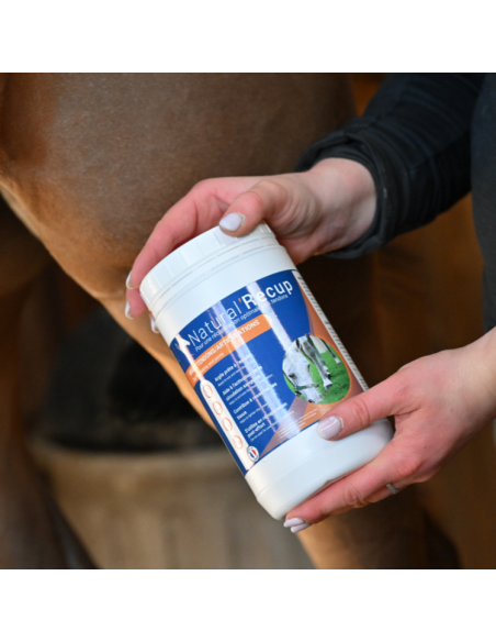 Argile Natural'Innov Natural’Recup 1,3kg