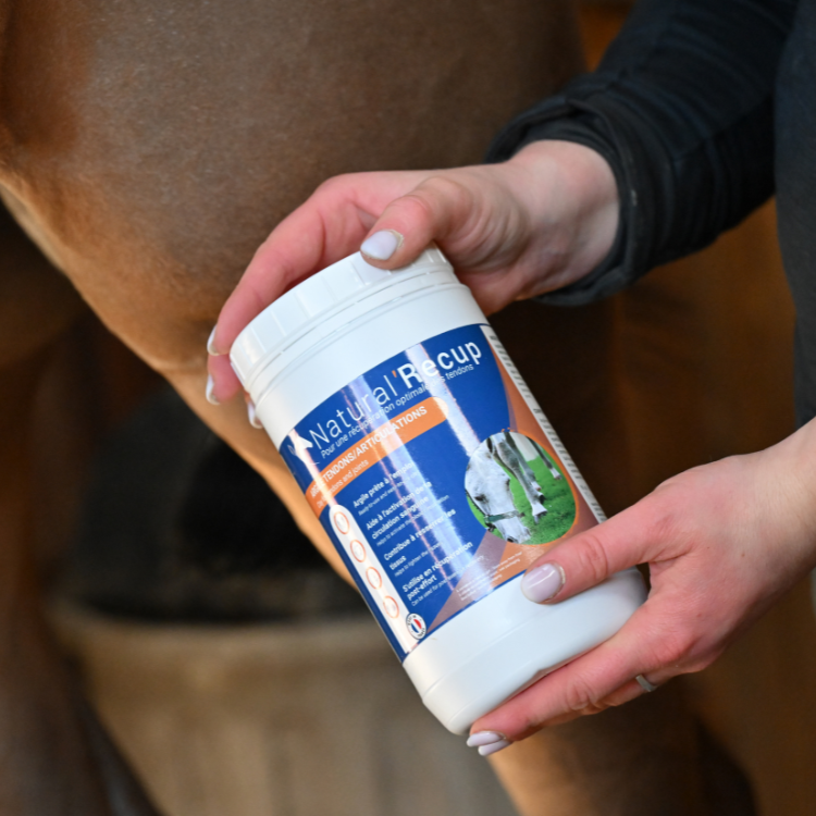 Argile Natural'Innov Natural’Recup 1,3kg