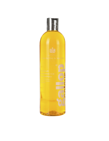 Shampoing Gallop Carr & Day & Martin Noisette Et Palomino 500ml