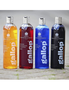 Shampoing Gallop Carr & Day & Martin Gris 500ml 2