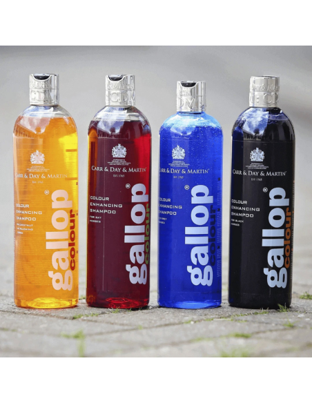 Shampoing Gallop Carr & Day 1 Martin