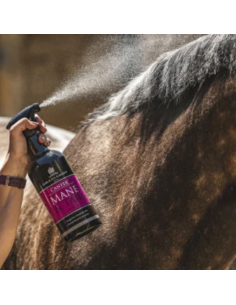 Lotion Crinière Et Queue Canter Carr & Day & Martin 1L 2