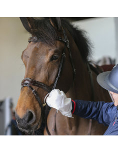 Gants De Nettoyage Belvoir Carr & Day & Martin Tack Cleaner 2