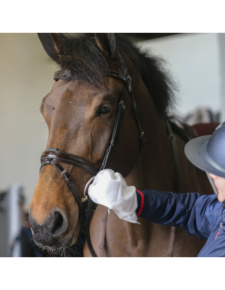 Gants De Nettoyage Belvoir Carr & Day & Martin Tack Cleaner
