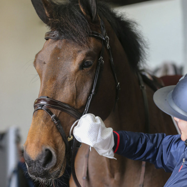 Gants De Nettoyage Belvoir Carr & Day & Martin Tack Cleaner