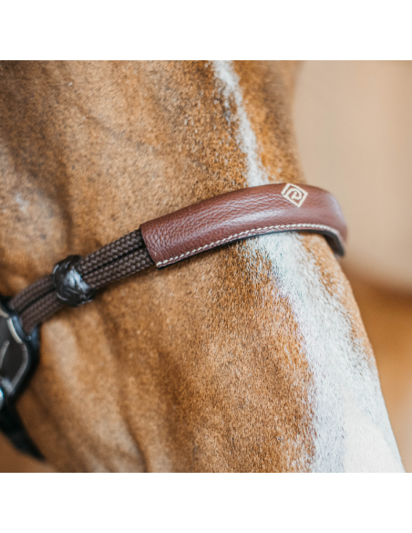 Bridon Dy'on Bitless Working Brun