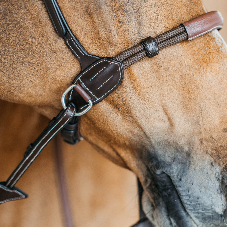 Bridon Dy'on Bitless Working Brun