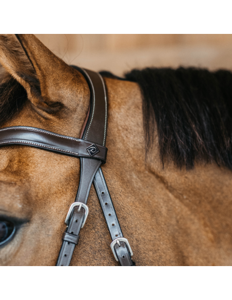 Bridon Dy'on Bitless Working Brun