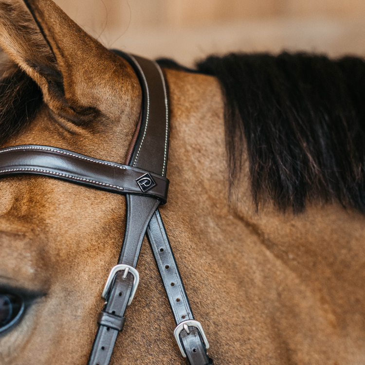 Bridon Dy'on Bitless Working Brun