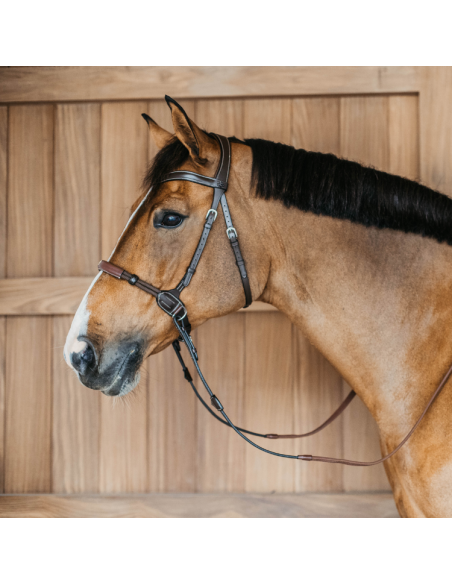 Bridon Dy'on Bitless Working Brun