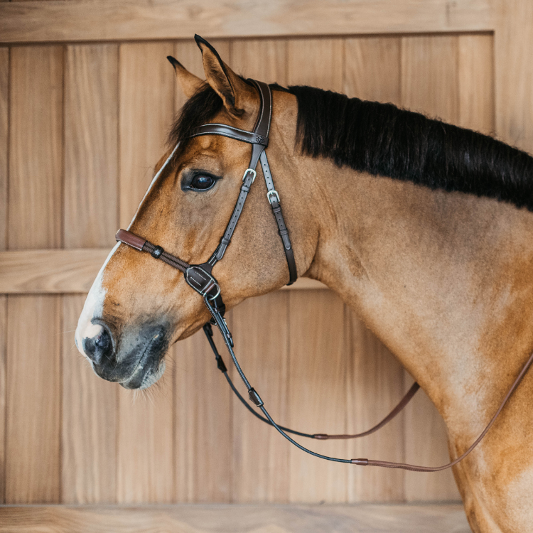 Bridon Dy'on Bitless Working Brun