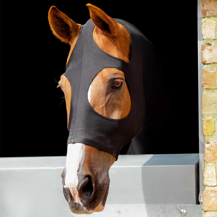 Protège Cou/Tête Premier Equine Lycra Noir