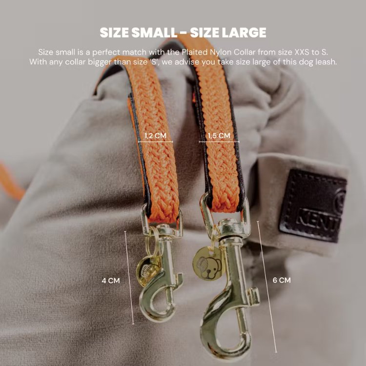 Laisse Kentucky Nylon Tressé 120 cm