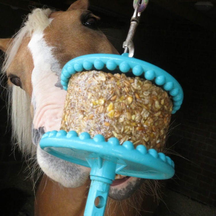 Friandises Likit Granola