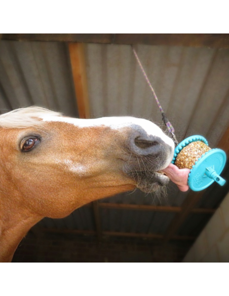 Friandises Likit Granola