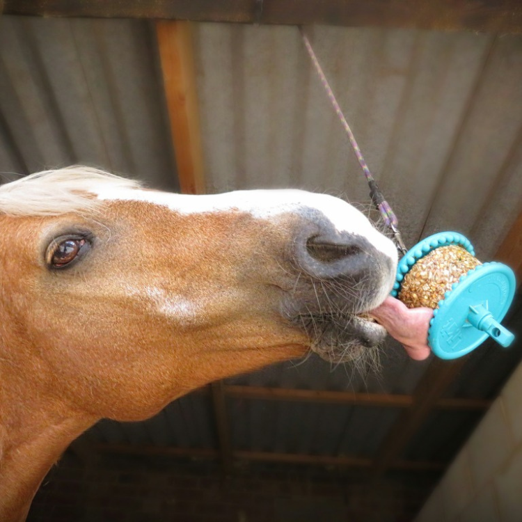 Friandises Likit Granola