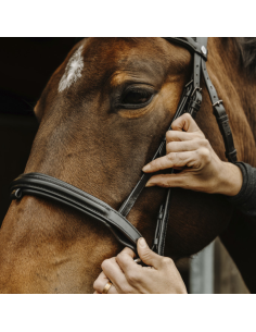 Bridon Norton Pro Apophyse Noir 2