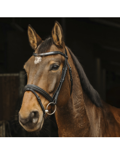 Bridon Norton Pro Galon Noir