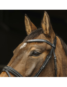 Bridon Norton Pro Galon Noir 2