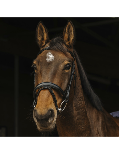 Norton Pro Dark Bridle Black