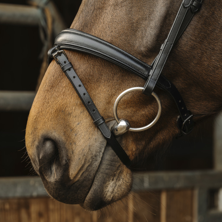 Norton Pro Dark Bridle Black