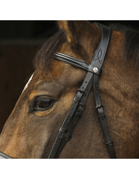 Norton Pro Dark Bridle Black