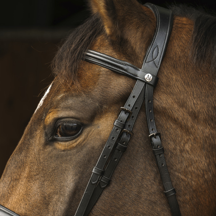 Norton Pro Dark Bridle Black