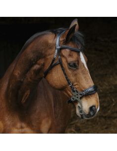 Bridon Norton Pro Hackamore Noir
