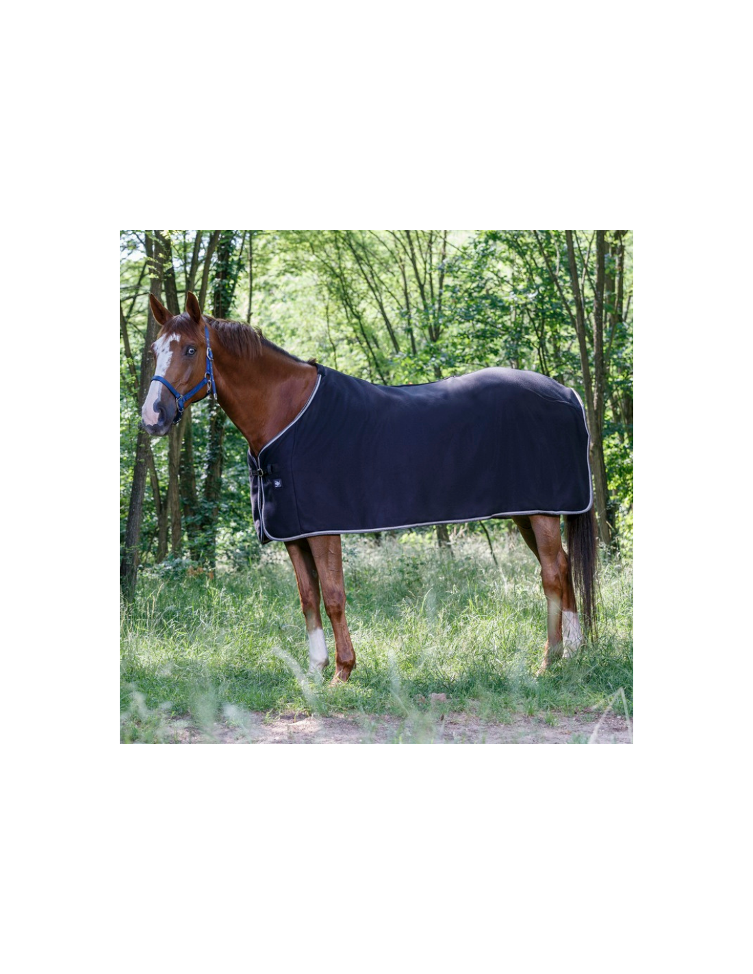 Chemise séchante polaire - Équitation western - Kramer Paardensport