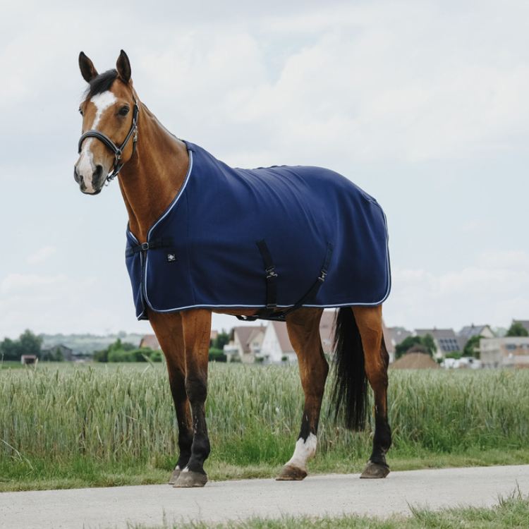 Chemise Riding World Séchante Marine