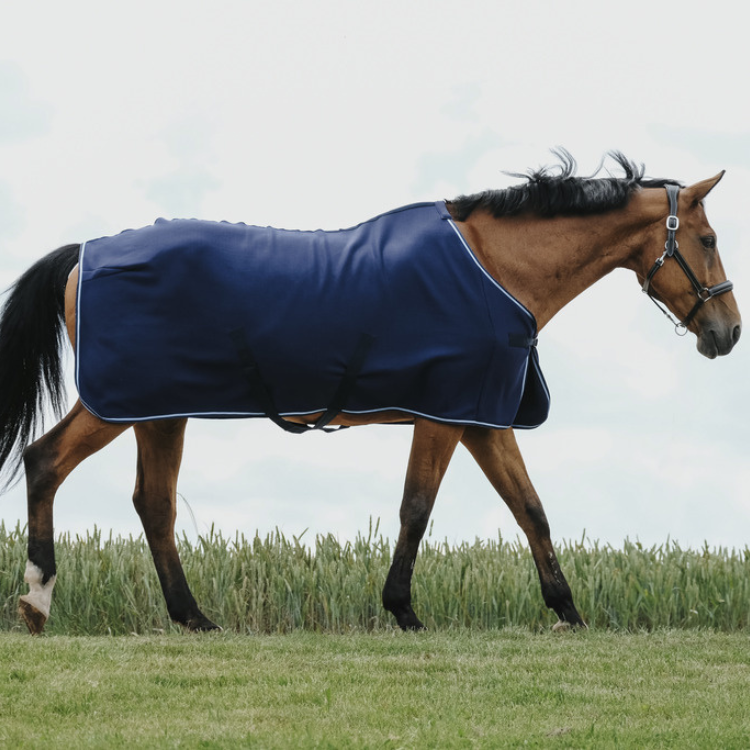 Chemise Riding World Séchante Marine